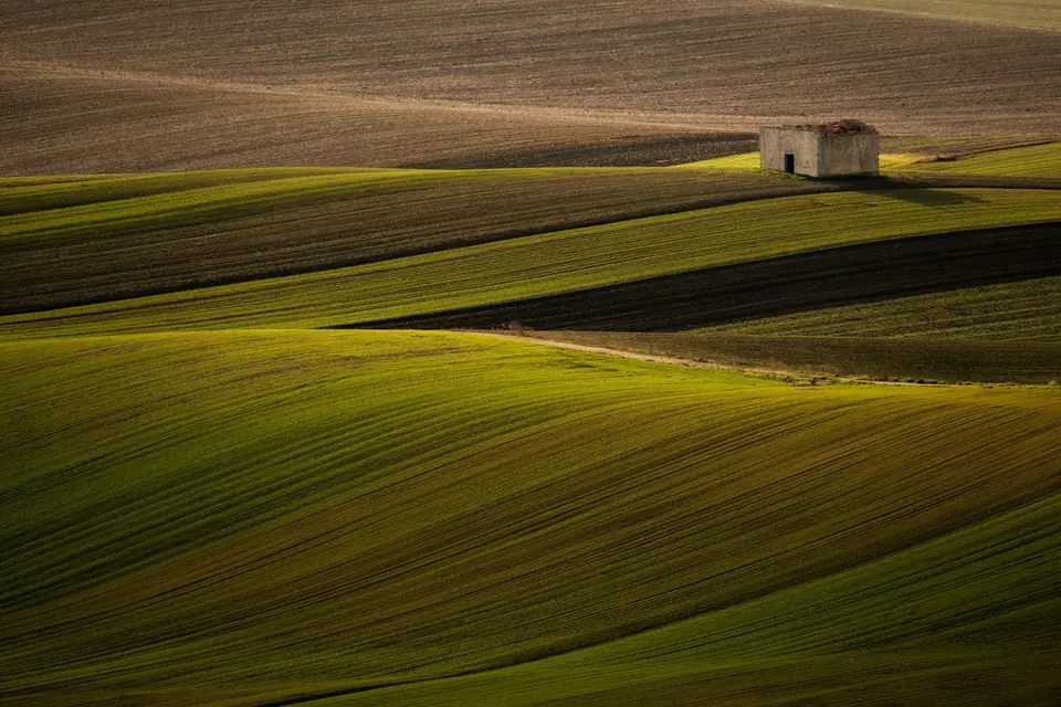 Colline coltivate e un casolare nella valle di Poggiorsini, Parco nazionale dell'Alta Murgia